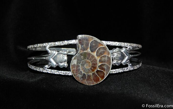 Ammonite Bracelet #646